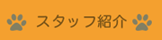 スタッフ紹介